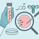 조례1길 | [난임일기 4편] 순천미즈병원 난임｜인공수정 1차 후기 배란유도제·배주사