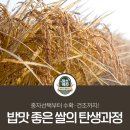 종자선택부터 수확·건조까지! 밥맛 좋은 쌀의 탄생과정