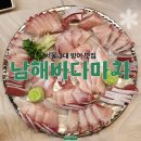 파리바게뜨 남해점 | 서울 3대 방어 맛집 석계 남해바다마차 | 블루리본 13년 연속 수상 맛집 4인 대방어 정복 후기