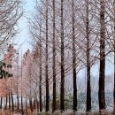 감성목장 이미지