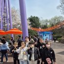 마스터케이 태권도 이미지