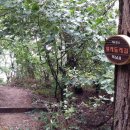 샘재로 4 이미지