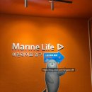 아쿠아플라넷 여수 | [여수여행] 아쿠아플라넷 여수 방문후기