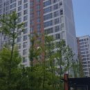 솔터아파트 이미지