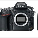 니콘 D4 vs 니콘 D800E vs 니콘 D600 스팩비교 이미지