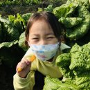 슬기로운어린이집 이미지