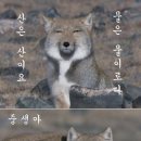 그래요 - 연수구 컨벤시아대로 100 | 그래요