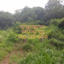 여주좋은땅공인중개사사무소 이미지