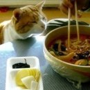 한입만 이미지