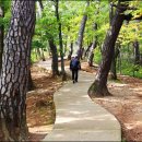 단종역사관 이미지