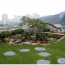 생활속의 조경이야기 이미지