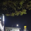 수락산역 4번출구(동일로 1669 앞) 버스정류장 | 매직 펌 하러 방문한 수락산역미용실 에이바헤어 후기!