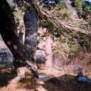 대촌2리 이미지