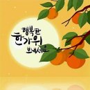 가을 밤 줍기 9월15일 일요일.1 이미지