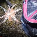 초전마을야영장 이미지