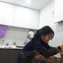 허동물병원 이미지