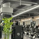 짐포레스트 이미지