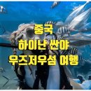 하이난성 | 중국 하이난 싼야 우즈저우섬 여행 추천 바다 액티비티 하루 코스 정리