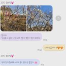 베트남노상식당T광주송정점 이미지