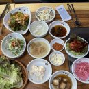청와오리 이미지