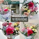 부케바이242