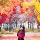 시간이 흐른 뒤 ..작사 심현보 ,작곡 박근태 ,노래 윤미래 이미지