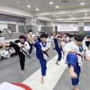 조아태권도 이미지