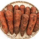 재용농장 이미지