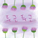 하늘채세탁 이미지