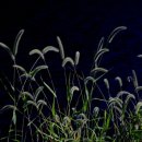 곰배령 길목에서 이미지