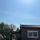 양양 시골느낌 범부메밀국수 후기 (메뉴판/주차)