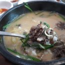 도성환황금도야지국밥 | 대구맛집:)도성환황금도야지국밥 국물이 진국이네욤