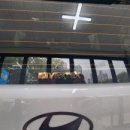 명성카써비스 이미지