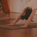 정통 호흡 요가 이미지