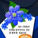 샤브향 이미지