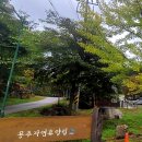 용추자연휴양림야영장 이미지