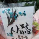 가나화원 이미지