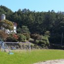 청솔피시방 이미지