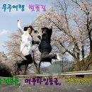 성지태권도 이미지