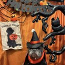 승진세탁소 | 10월 마무리