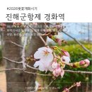 진해구 ⓒ-27 | 2026 진해 군항제 벚꽃 개화 시기, 경화역 지금 상황 직접 보고 옴