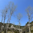 희야네 도시락 이미지