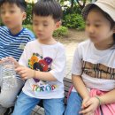 대전도솔유치원 이미지