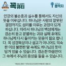 콩깍지 이미지
