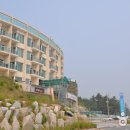 포시즌비치호텔 이미지