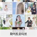 본식DVD 화이트모티브 계약 후기