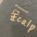 숲CALP