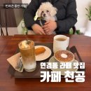 연경초등학교 앞 | [대구 연경동 | 카페 천공] 반려견과 조용하게 쉬다가기 좋은 라떼맛집