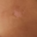 안성스타약국 이미지