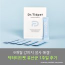 진도개 배송 | 강아지 유산균 추천 | 9개월 강아지 사료 바꿔서 설사할 때, 닥터티드펫 유산균으로 해결했어요!